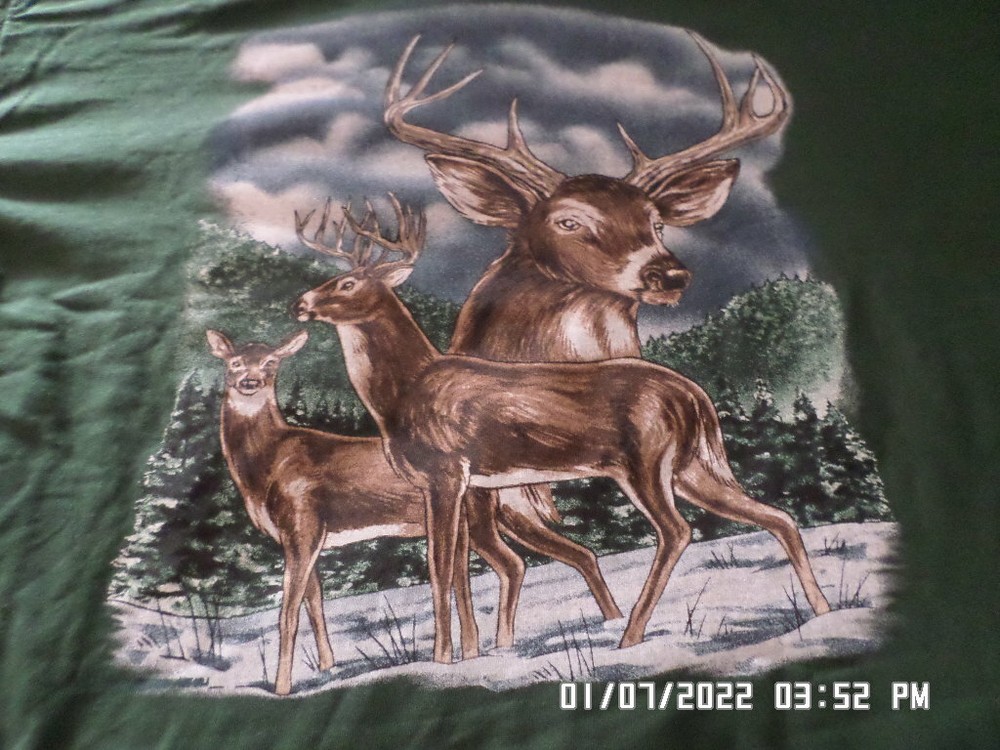 NEW Hunting T-Shirt: 2 Bucks & Doe In Snow… Hunter (Lots of sizes & colors)