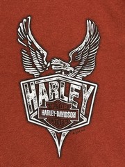 2013 Harley Davidson Grand Teton Idaho Falls Tee Cyan Biker Graphic Shirt Size L