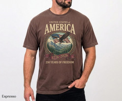 America 250th Anniversary 90s Graphic Style Comfort Colors Tshirt FREESHIP
