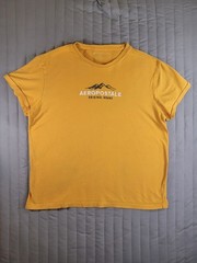 Aeropostale Men’s Large Yellow Graphic T-Shirt Original Brand Mountain Crew Neck
