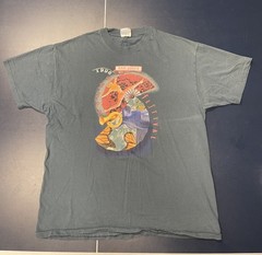 Vintage 1996 Ann Arbor Summer Festival Single Stitch T-shirt XL