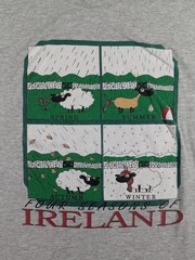 Vintage Ireland Four Seasons Shirt Mens Large Gray Fruit Of The Loom Graphic Tee