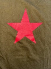 Vintage Huaxiucun Graphic T-shirt Red Astor, Green OD Large 100% Cotton