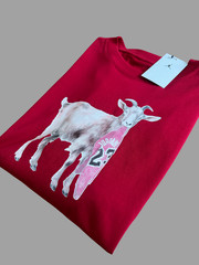 Nike Air Jordan GOAT Jumpman 23 Bulls Graphic T-Shirt Red Men’s Sz M New