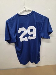 Mount Hood Little League Jersey Shirt Blue #29, size medium