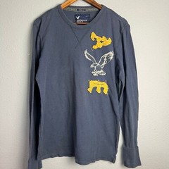 American Eagle Y2K Vintage Fit Graphic Thermal Distressed Varsity Applique L