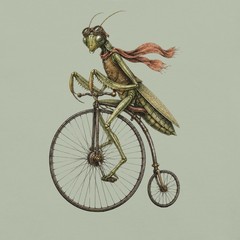 Penny Farthing Praying Mantis T-Shirt Comfort Colors Premium Cotton Tee S-4XL