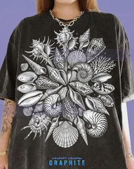 Old School Seashells Ammonite Comfort Tee
