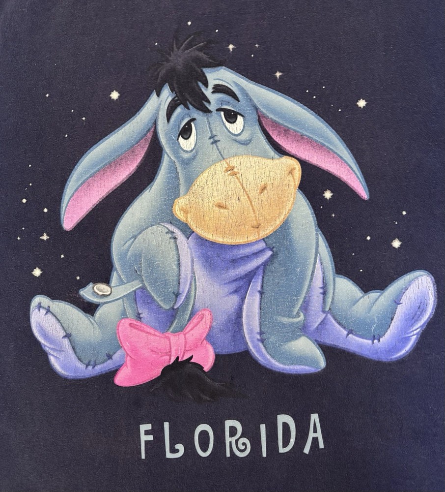 Classic Disney Eeyore Florida Delta Pro Weight T-Shirt Navy Size Large