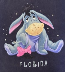 Classic Disney Eeyore Florida Delta Pro Weight T-Shirt Navy Size Large