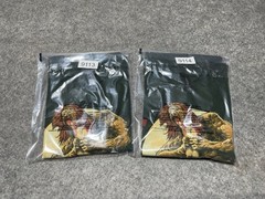 NEW 1 Night Only SESSANTA L Green Concert Tour 3 Eyed Crazy Shirt SATX 4/29/25