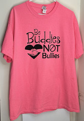 Gildan Men’s Anti Bullying Shirt XL Pink Be Buddies Not Bullies Graphic T-Shirt