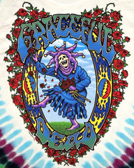 Grateful Dead ‘Seasons Of The Dead’ Front/Back Graphic Tie Dye T-Shirt Large New