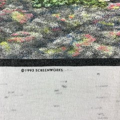 Cumbres & Toltec Scenic Railroad T-shirt Mens Large Steam Train VTG 90s