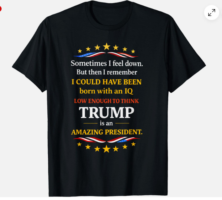 Sometimes I Feel Down But Then I Remember Funny Unisex T-Shirt