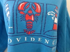 Vintage Providence Rhode Island T Shirt Women’s L Blue Paradies Collection