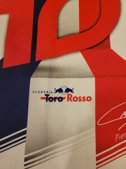 Pierre Gasly #10 Formula 1 Toro Rosso White Short Sleeve Shirt For Men Size M
