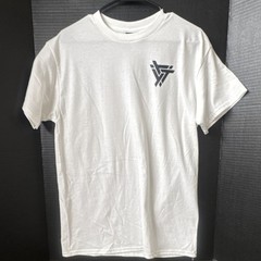Gildan Heavy Cotton White Triskelion Tau Gamma Phi Graphic Men’s T-Shirt M