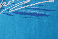 Vtg 70s 80s Streetwear Mens L Distressed Waikiki Hawaii Beach Sunset T-Shirt USA