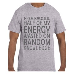 Funny Humor Tshirt Definition Homework Short or Long Sleeve