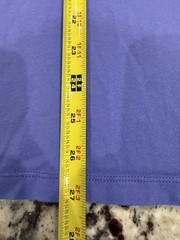 The North Face Men’s Purple Mountain Logo Graphic T-Shirt Size Large
