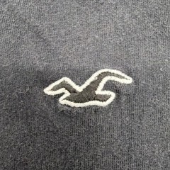 Hollister Must-have Collection T-shirt Men Black Logo 100% Cotton .#48041