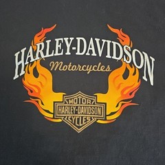 Vintage Harley Davidson T Shirt XL Nuevo Progreso Mexico YAZBEK Black Flam wings