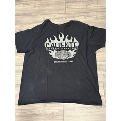 Harley-Davidson Texas Rebel Graphic tee