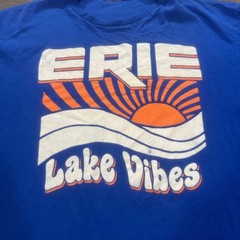 Delta Pro Weight Erie Lake Vibes Graphic T-Shirt Blue Large Retro Sunset Tee