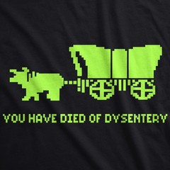 You Have Died Of Dysentery T Shirt Funny Gamer Shirts Video Games Nerdy Cool 80s