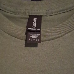 Gildan Heavy Cotton Men’s L Green Crew Neck Short Sleeve Esther 4:14 Tee