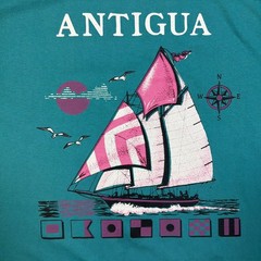 Vtg 90s Hanes Heavyweight 50/50 Antigua T Shirt Large Single Stitch Teal Beach