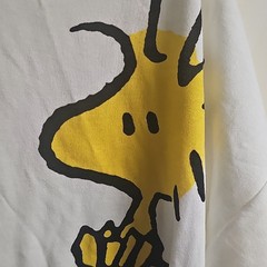 Flirts Peanuts Snoopy Woodstock Graphic Tee One Size White with included socks