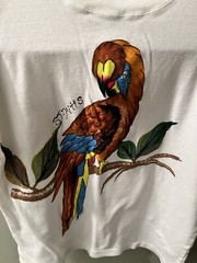 Hand Painted Parrot T Shirt Adult Large White Graphic Art Tee Unisex