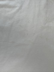 Delta Pro Weight Texas T-shirt Unisex Short Sleeve White Size Large