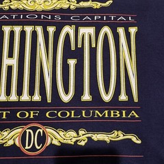 Vintage 90s Washington D.C. Our Nations Capital T-Shirt L Blue Usa Screen Stars