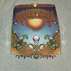 Vtg Grateful Dead Shirt Men XL Gray Aoxomoxoa Rick Griffin Album Anvil 2001