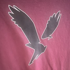 American Eagle Super Soft Standard Fit Graphic Logo Burgundy Crew Tee, Men S