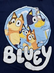 Old Navy Men’s “Bluey” Family Bingo Bandit Chili T-shirt Size XL NWT New