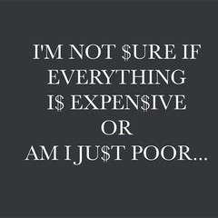 I’m Not Sure If Everything Sarcastic Humor Graphic Novelty Funny T Shirt