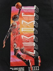 Air Jordan Bred 11 (XI) T Shirt, Size Large, 2019