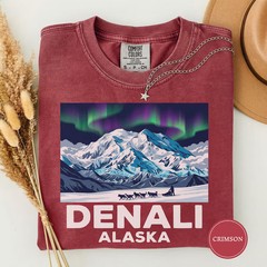Denali Alaska Aurora Comfort Tee National Park Travel Souvenir