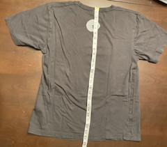 Skateboard Shirt What Could Possibly Go Wrong Grey Small District Made SCI