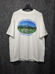 Hanes Beefy T Single Stitch T Shirt Premier One Royal Jelly