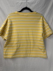 Scotch & Soda Striipedn yellow Tshirt