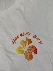 Hanalei Bay Hawaii Tropical Hibiscus Hawaiian White T Shirt Sz Large