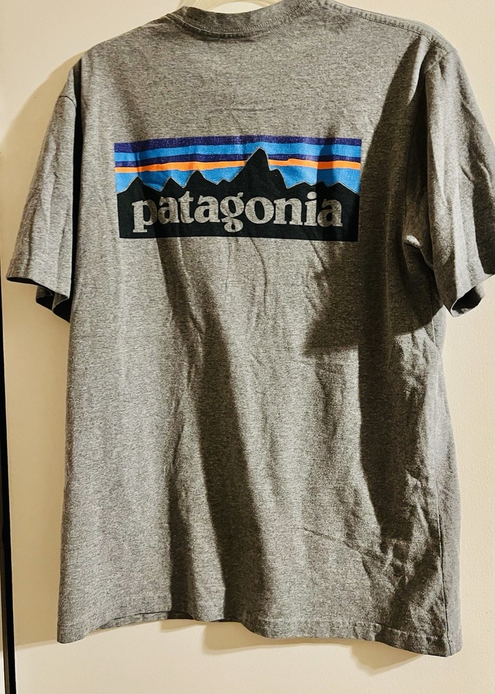 Patagonia Cotton Logo T-Shirt Gray ( Small