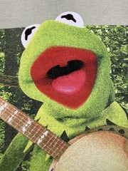 Disney The Muppets KERMIT THE FROG “Country Roots” Banjo T-Shirt Unisex Small