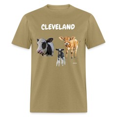 CAVS
