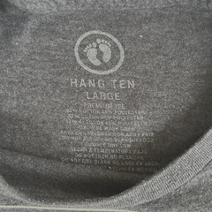 Hang Ten T Shirt Men’s Size Large Charcoal Gray Est 1960 California Surf 0174